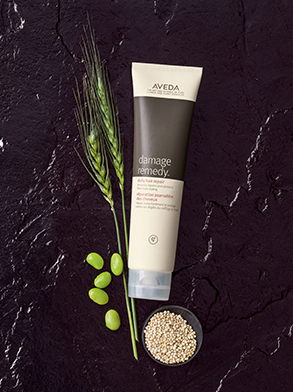 aveda_4.jpg